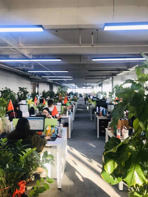 佛山图可数据之疫情下中小企业如何利用互联网营销破局